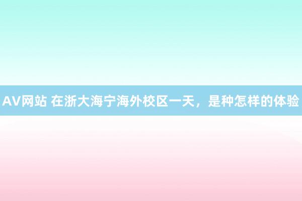 AV网站 在浙大海宁海外校区一天，是种怎样的体验