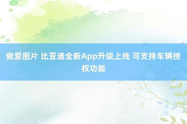 做爱图片 比亚迪全新App升级上线 可支持车辆授权功能