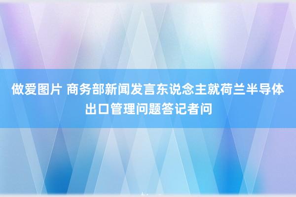 做爱图片 商务部新闻发言东说念主就荷兰半导体出口管理问题答记者问