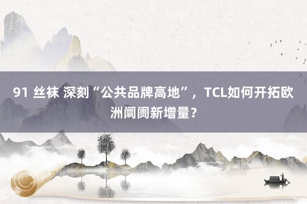 91 丝袜 深刻“公共品牌高地”，TCL如何开拓欧洲阛阓新增量？