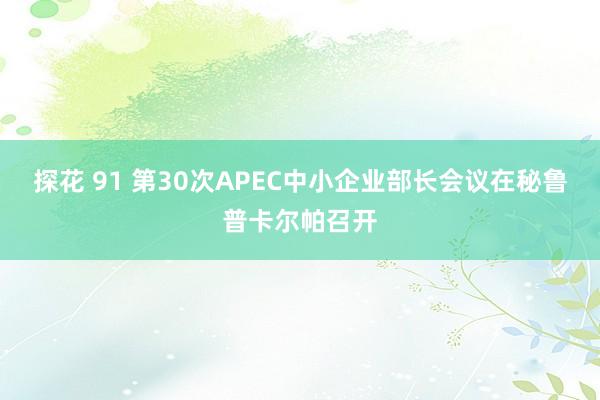 探花 91 第30次APEC中小企业部长会议在秘鲁普卡尔帕召开