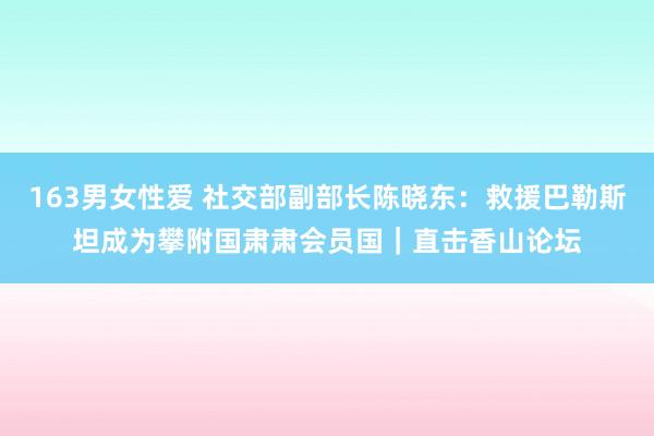 163男女性爱 社交部副部长陈晓东：救援巴勒斯坦成为攀附国肃肃会员国｜直击香山论坛