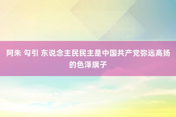 阿朱 勾引 东说念主民民主是中国共产党弥远高扬的色泽旗子