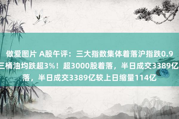 做爱图片 A股午评：三大指数集体着落沪指跌0.92%，红利股退换三桶油均跌超3%！超3000股着落，半日成交3389亿较上日缩量114亿