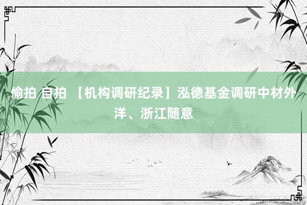 偷拍 自拍 【机构调研纪录】泓德基金调研中材外洋、浙江随意