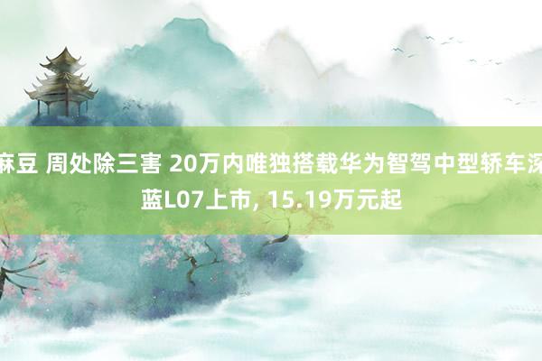 麻豆 周处除三害 20万内唯独搭载华为智驾中型轿车深蓝L07上市, 15.19万元起