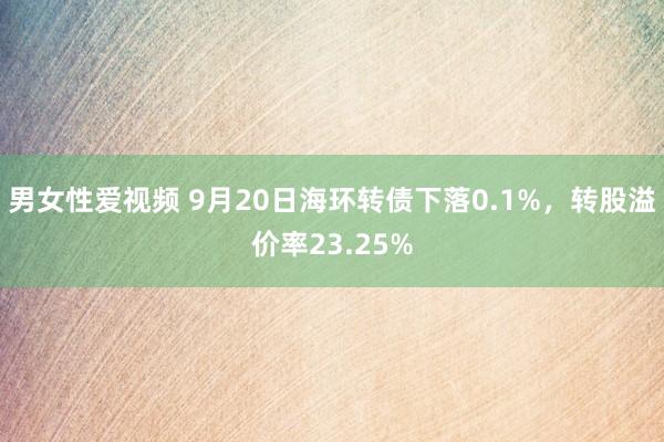 男女性爱视频 9月20日海环转债下落0.1%，转股溢价率23.25%