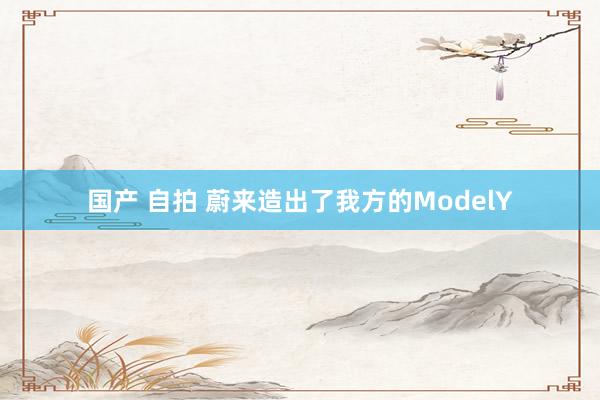 国产 自拍 蔚来造出了我方的ModelY