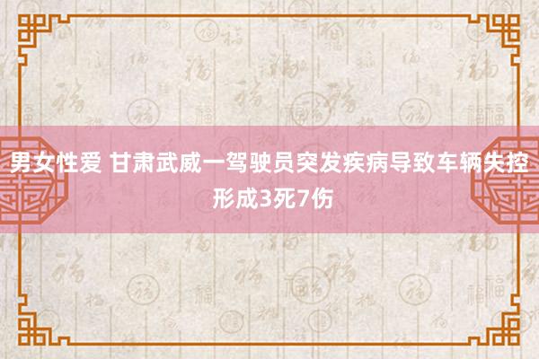 男女性爱 甘肃武威一驾驶员突发疾病导致车辆失控 形成3死7伤