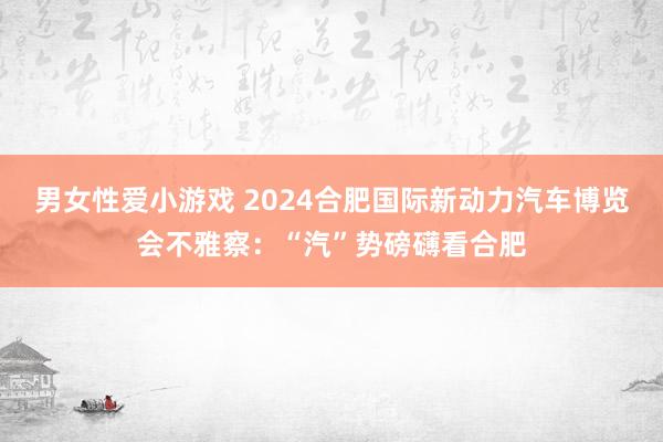 男女性爱小游戏 2024合肥国际新动力汽车博览会不雅察：“汽”势磅礴看合肥