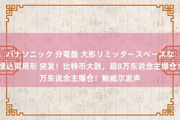 パナソニック 分電盤 大形リミッタースペースなし 露出・半埋込両用形 突发！比特币大跌，超8万东说念主爆仓！鲍威尔发声