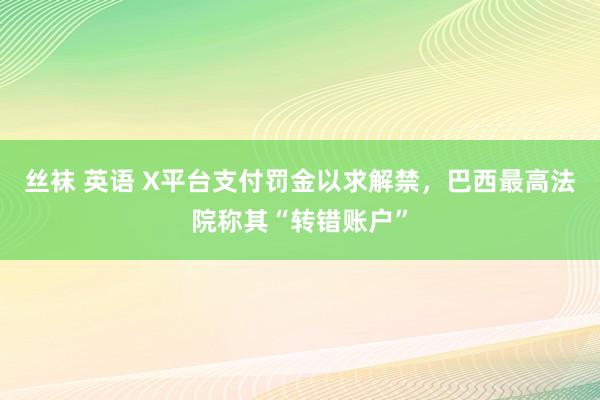 丝袜 英语 X平台支付罚金以求解禁，巴西最高法院称其“转错账户”