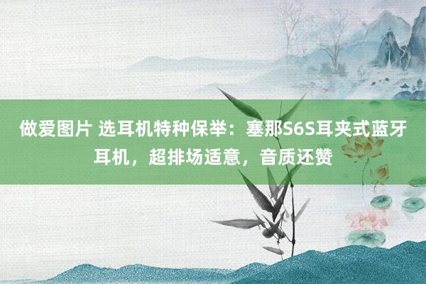 做爱图片 选耳机特种保举：塞那S6S耳夹式蓝牙耳机，超排场适意，音质还赞