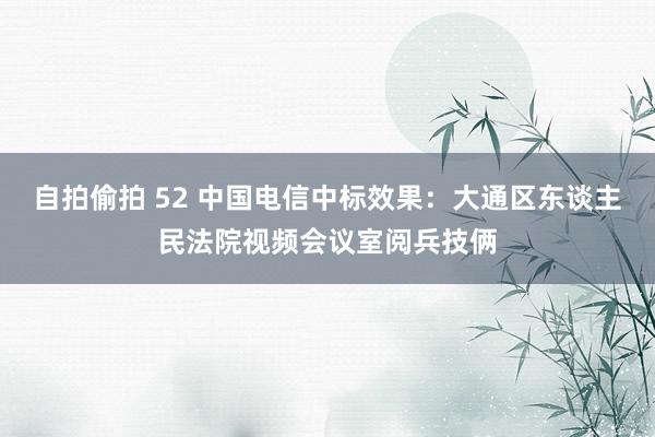 自拍偷拍 52 中国电信中标效果：大通区东谈主民法院视频会议室阅兵技俩