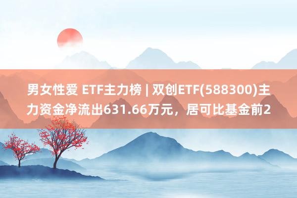 男女性爱 ETF主力榜 | 双创ETF(588300)主力资金净流出631.66万元，居可比基金前2