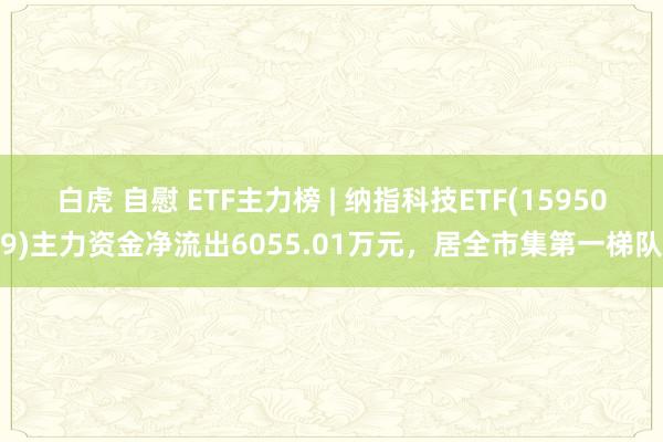 白虎 自慰 ETF主力榜 | 纳指科技ETF(159509)主力资金净流出6055.01万元，居全市集第一梯队