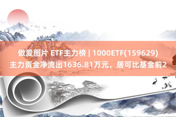 做爱图片 ETF主力榜 | 1000ETF(159629)主力资金净流出1636.81万元，居可比基金前2