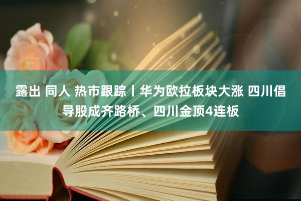 露出 同人 热市跟踪丨华为欧拉板块大涨 四川倡导股成齐路桥、四川金顶4连板