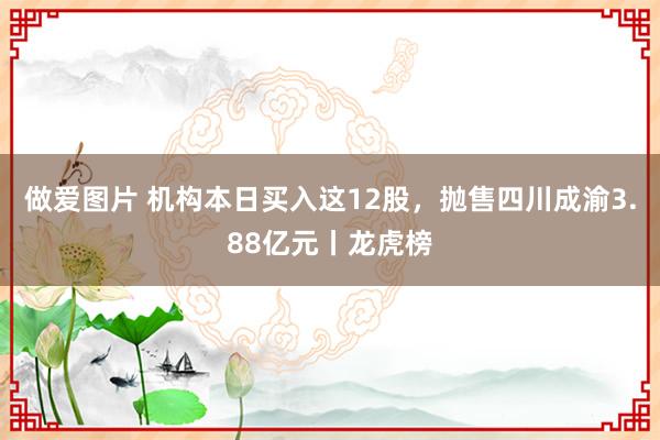 做爱图片 机构本日买入这12股，抛售四川成渝3.88亿元丨龙虎榜