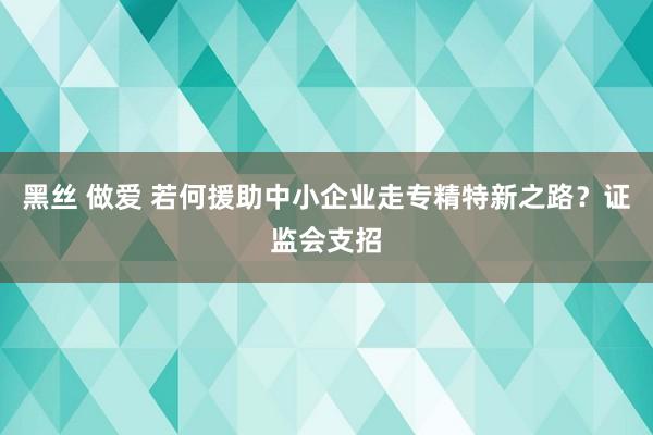 黑丝 做爱 若何援助中小企业走专精特新之路？证监会支招