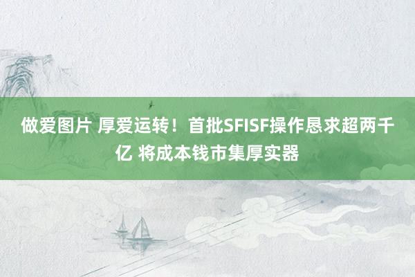 做爱图片 厚爱运转！首批SFISF操作恳求超两千亿 将成本钱市集厚实器