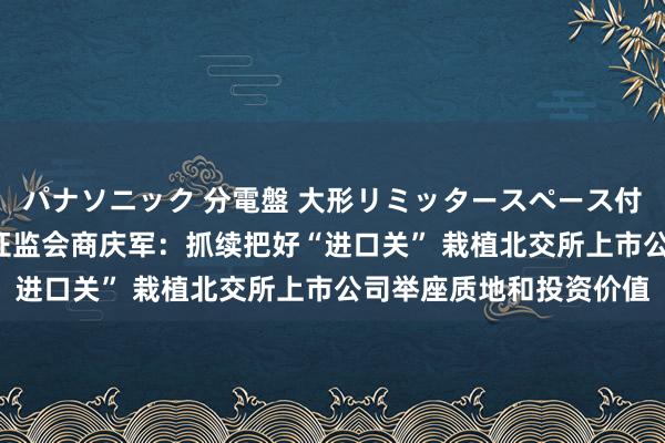 パナソニック 分電盤 大形リミッタースペース付 露出・半埋込両用形 证监会商庆军：抓续把好“进口关” 栽植北交所上市公司举座质地和投资价值