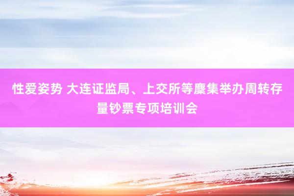 性爱姿势 大连证监局、上交所等麇集举办周转存量钞票专项培训会