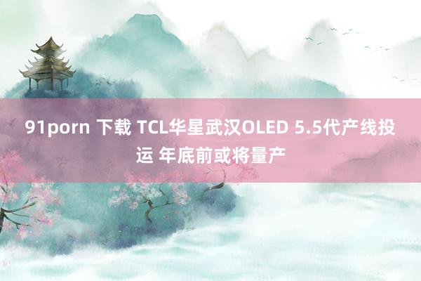 91porn 下载 TCL华星武汉OLED 5.5代产线投运 年底前或将量产