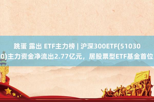 跳蛋 露出 ETF主力榜 | 沪深300ETF(510300)主力资金净流出2.77亿元，居股票型ETF基金首位