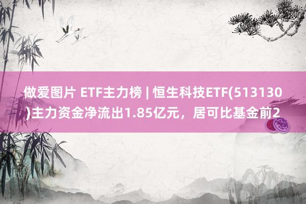 做爱图片 ETF主力榜 | 恒生科技ETF(513130)主力资金净流出1.85亿元，居可比基金前2