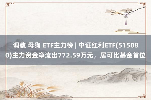 调教 母狗 ETF主力榜 | 中证红利ETF(515080)主力资金净流出772.59万元，居可比基金首位