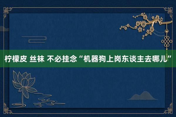 柠檬皮 丝袜 不必挂念“机器狗上岗东谈主去哪儿”