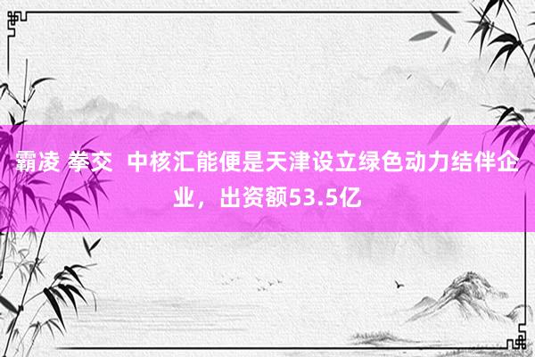 霸凌 拳交  中核汇能便是天津设立绿色动力结伴企业，出资额53.5亿