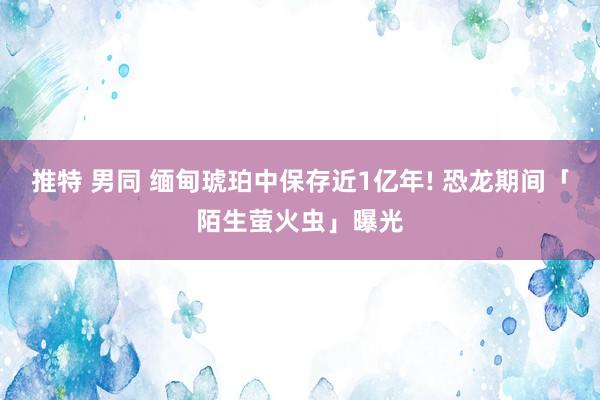 推特 男同 缅甸琥珀中保存近1亿年! 恐龙期间「陌生萤火虫」曝光