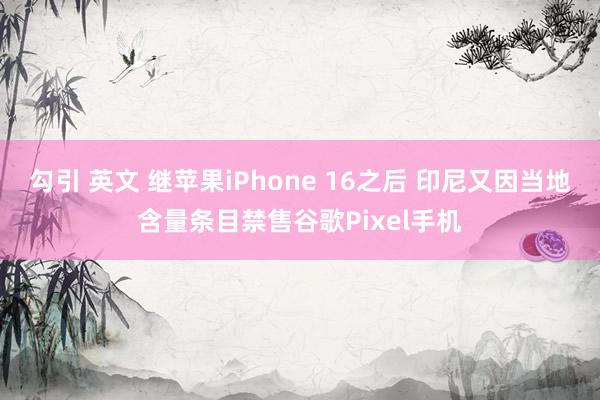 勾引 英文 继苹果iPhone 16之后 印尼又因当地含量条目禁售谷歌Pixel手机