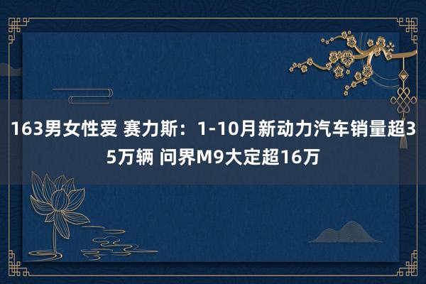 163男女性爱 赛力斯：1-10月新动力汽车销量超35万辆 问界M9大定超16万