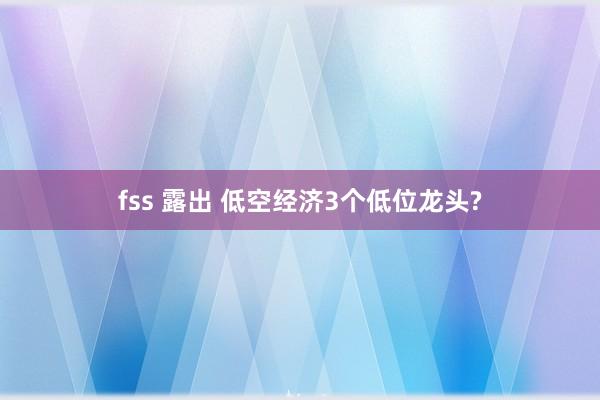 fss 露出 低空经济3个低位龙头?