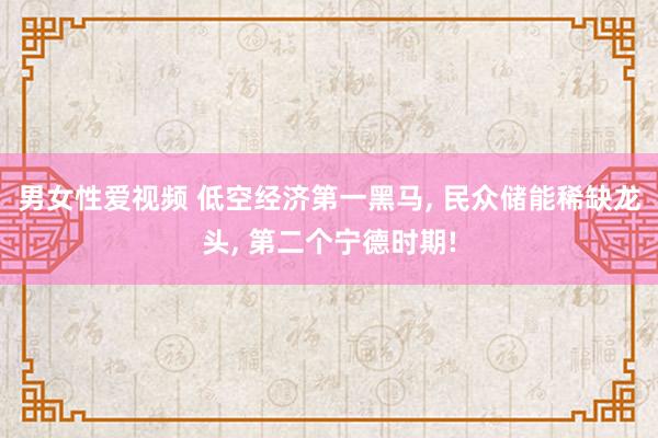 男女性爱视频 低空经济第一黑马， 民众储能稀缺龙头， 第二个宁德时期!