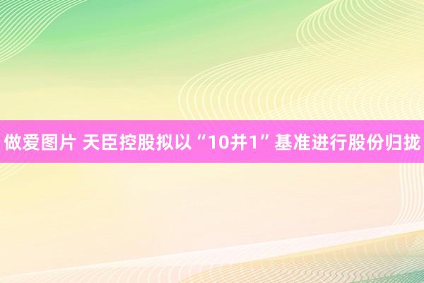 做爱图片 天臣控股拟以“10并1”基准进行股份归拢