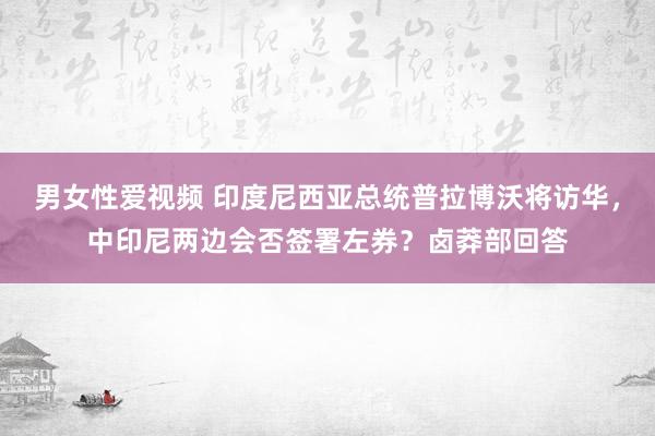 男女性爱视频 印度尼西亚总统普拉博沃将访华，中印尼两边会否签署左券？卤莽部回答