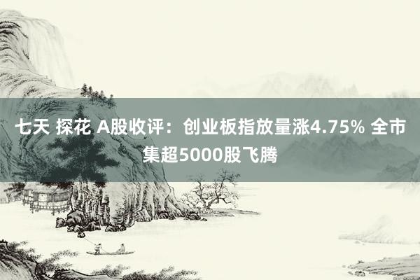 七天 探花 A股收评：创业板指放量涨4.75% 全市集超5000股飞腾