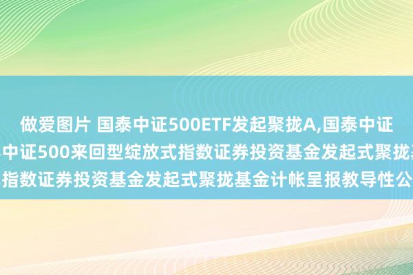 做爱图片 国泰中证500ETF发起聚拢A，国泰中证500ETF发起聚拢C: 国泰中证500来回型绽放式指数证券投资基金发起式聚拢基金计帐呈报教导性公告