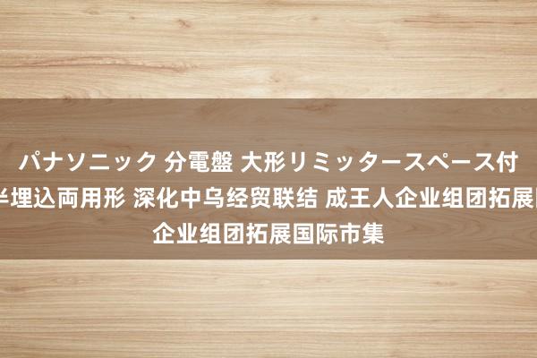 パナソニック 分電盤 大形リミッタースペース付 露出・半埋込両用形 深化中乌经贸联结 成王人企业组团拓展国际市集