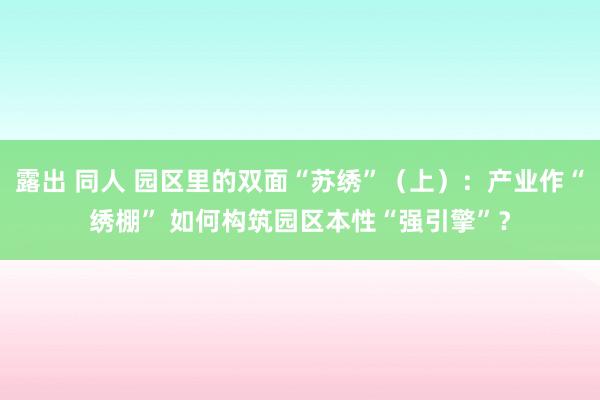 露出 同人 园区里的双面“苏绣”（上）：产业作“绣棚” 如何构筑园区本性“强引擎”？