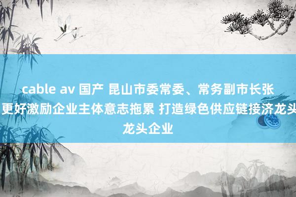 cable av 国产 昆山市委常委、常务副市长张峰： 更好激励企业主体意志拖累 打造绿色供应链接济龙头企业