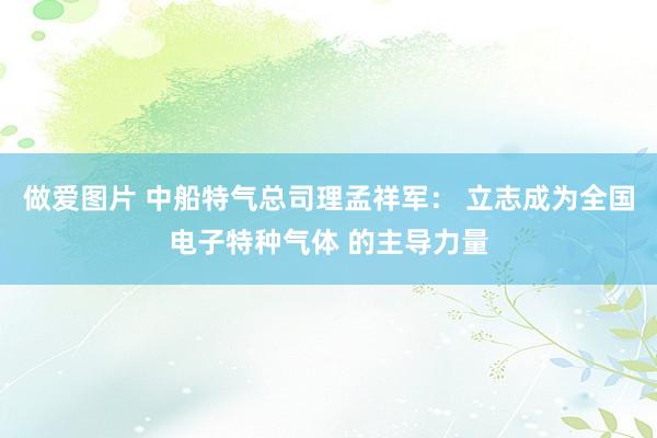 做爱图片 中船特气总司理孟祥军： 立志成为全国电子特种气体 的主导力量