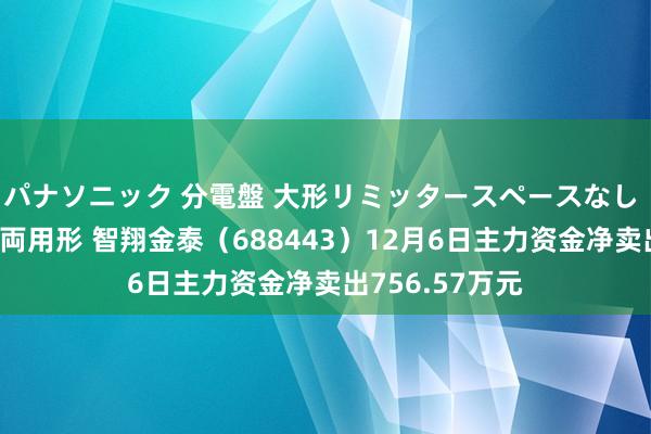 パナソニック 分電盤 大形リミッタースペースなし 露出・半埋込両用形 智翔金泰（688443）12月6日主力资金净卖出756.57万元