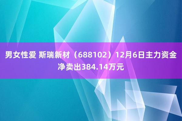 男女性爱 斯瑞新材（688102）12月6日主力资金净卖出384.14万元