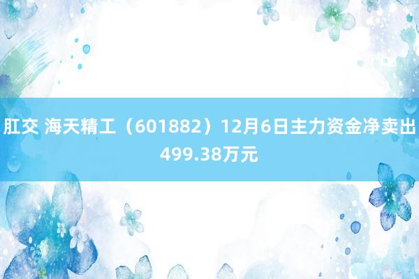 肛交 海天精工（601882）12月6日主力资金净卖出499.38万元