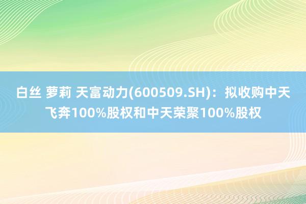 白丝 萝莉 天富动力(600509.SH)：拟收购中天飞奔100%股权和中天荣聚100%股权